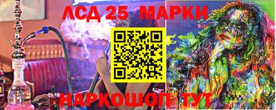 прущие грибы Нальчик