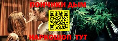 прущие грибы Нальчик