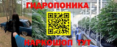 прущие грибы Нальчик