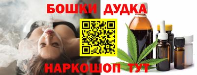 прущие грибы Нальчик