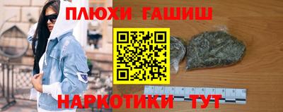 прущие грибы Нальчик